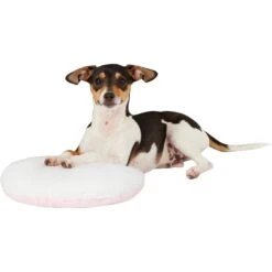 PetZu Heartbeat Dog Pillow 15 PetZu Heartbeat Dog Pillow -Blue Buffalo || ROYAL CANIN || Wellness Sales 90381 PT4. AC SS1800 V1566323082