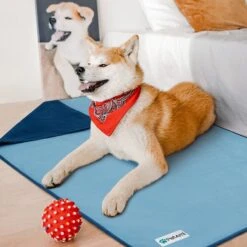 PetAmi Reversible Fleece Waterproof Cat & Dog Blanket -Blue Buffalo || ROYAL CANIN || Wellness Sales 904070 PT4. AC SS1800 V1688392684