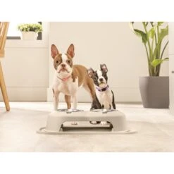WeatherTech Double High Poly Bowl Cat & Dog Pet Feeding System 8 WeatherTech Double High Poly Bowl Cat & Dog Pet Feeding System -Blue Buffalo || ROYAL CANIN || Wellness Sales 904750 PT2. AC SS1800 V1695572549
