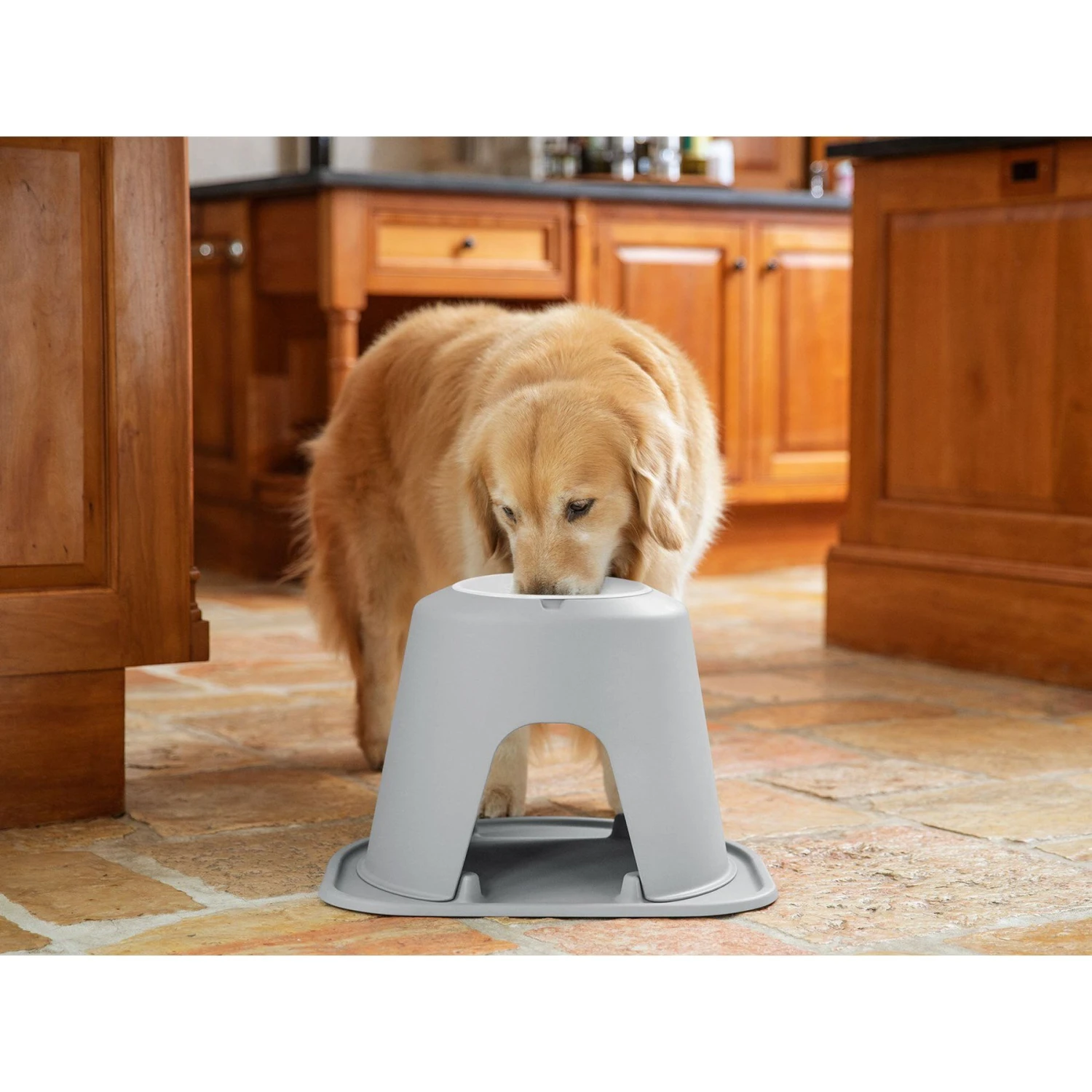 WeatherTech Single High Poly Bowl Cat & Dog Pet Feeding System 5 WeatherTech Single High Poly Bowl Cat & Dog Pet Feeding System - Image 3