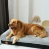 LaiFug Double Pillow Dog Bed