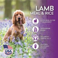 Wholesomes With Lamb Meal & Rice Formula Dry Dog Food -Blue Buffalo || ROYAL CANIN || Wellness Sales 90727 PT3. AC SS1800 V1626361037