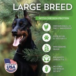 Wholesomes Large Breed With Chicken Meal & Rice Formula Adult Dry Dog Food -Blue Buffalo || ROYAL CANIN || Wellness Sales 90736 PT3. AC SS1800 V1626361046