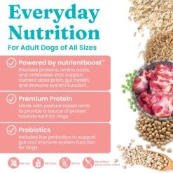 Solid Gold NutrientBoost Hund-N-Flocken Lamb, Brown Rice & Pearled Barley Recipe Adult Dry Dog Food -Blue Buffalo || ROYAL CANIN || Wellness Sales 908390 PT3. AC SS1800 V1695999593