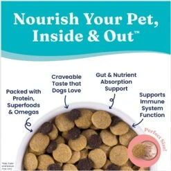 Solid Gold NutrientBoost Hund-N-Flocken Lamb, Brown Rice & Pearled Barley Recipe Adult Dry Dog Food -Blue Buffalo || ROYAL CANIN || Wellness Sales 908390 PT5. AC SS1800 V1695999113