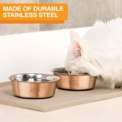 Neater Pets Brands Decorative Hammered Dog & Cat Bowl -Blue Buffalo || ROYAL CANIN || Wellness Sales 909350 PT3. AC SS1800 V1688580431