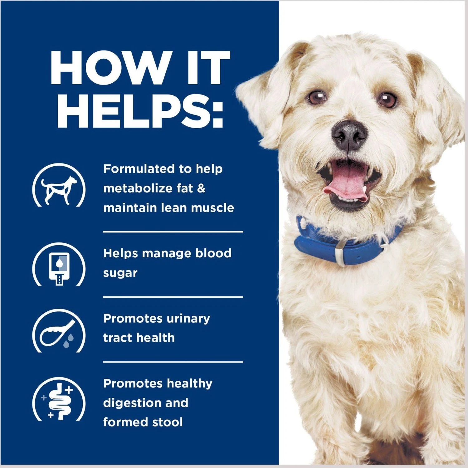 Hill's Prescription Diet W/d Multi-Benefit Digestive, Weight, Glucose, Urinary Management Vegetable & Chicken Stew Canned Dog Food 7 Hill's Prescription Diet W/d Multi-Benefit Digestive, Weight, Glucose, Urinary Management Vegetable & Chicken Stew Canned Dog Food - Image 5