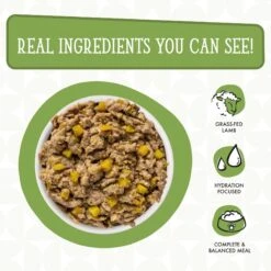 Weruva Dogs In The Kitchen Lamburgini With Lamb & Pumpkin Au Jus Grain-Free Dog Food Pouches -Blue Buffalo || ROYAL CANIN || Wellness Sales 91012 PT3. AC SS1800 V1701362326