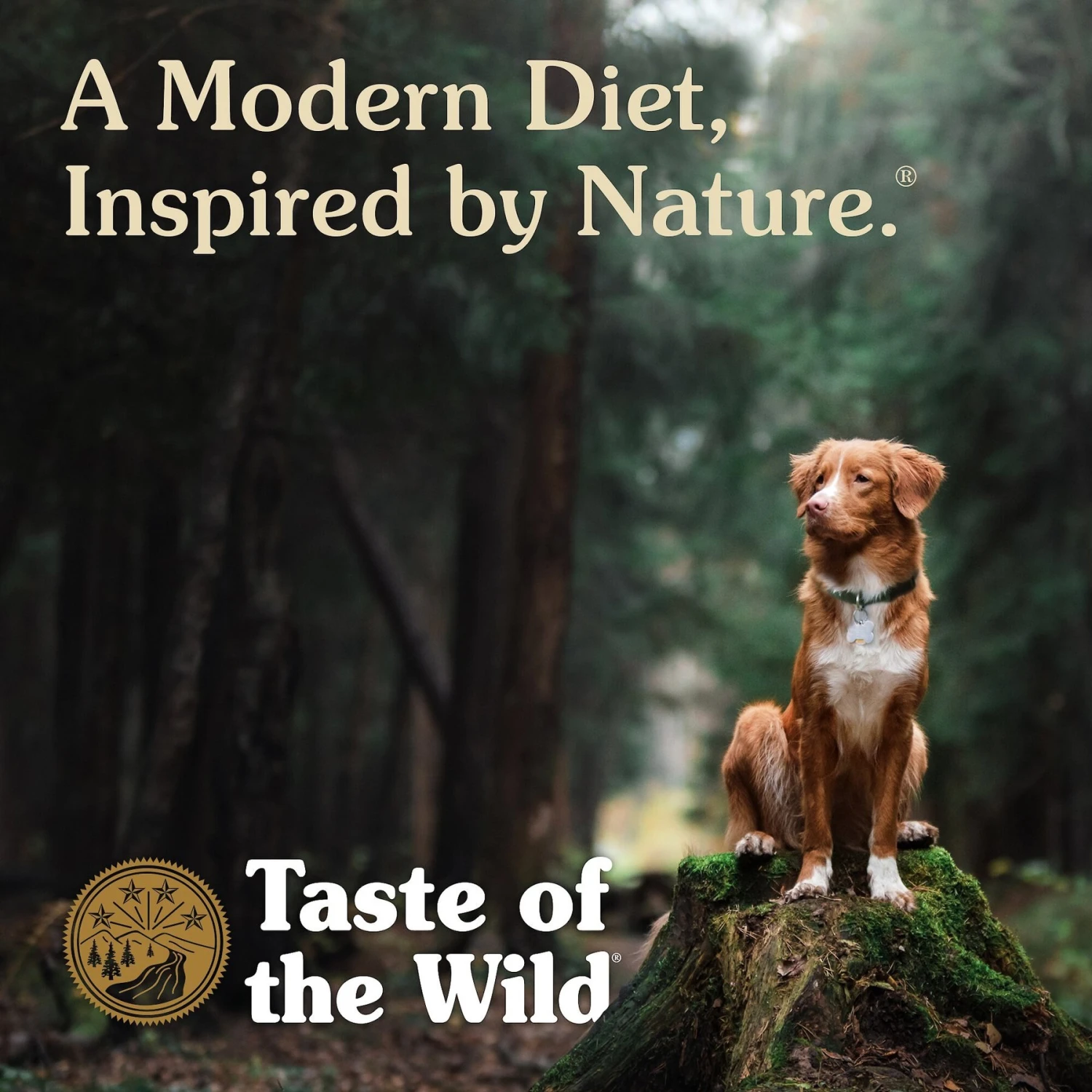 Taste Of The Wild Appalachian Valley Small Breed Grain-Free Dry Dog Food 8 Taste Of The Wild Appalachian Valley Small Breed Grain-Free Dry Dog Food - Image 6