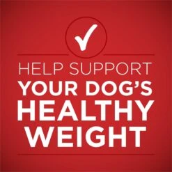 Purina ONE +Plus Adult Tender Cuts In Gravy Healthy Weight Lamb & Brown Rice Entree Canned Dog Food -Blue Buffalo || ROYAL CANIN || Wellness Sales 91789 PT2. AC SS1800 V1671807371