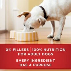Purina ONE +Plus Adult Tender Cuts In Gravy Healthy Weight Lamb & Brown Rice Entree Canned Dog Food -Blue Buffalo || ROYAL CANIN || Wellness Sales 91789 PT6. AC SS1800 V1671744284