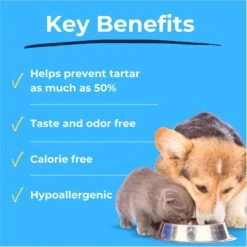 Tartar Shield Sprinkles Human-Grade Beef Dog & Cat Dry Food Topping, 2.8-oz Bag 15 Tartar Shield Sprinkles Human-Grade Beef Dog & Cat Dry Food Topping, 2.8-oz Bag -Blue Buffalo || ROYAL CANIN || Wellness Sales 918750 PT4. AC SS1800 V1693933151