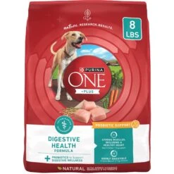 Purina ONE Plus Digestive Health Formula Dry Dog Food, 8-lb Bag