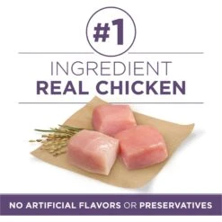 Purina ONE High Protein + Vibrant Maturity 7 Plus Formula Dry Senior Dog Food -Blue Buffalo || ROYAL CANIN || Wellness Sales 918782 PT2. AC SS1800 V1694624325