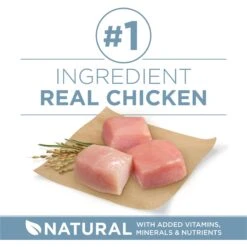 Purina ONE Plus Joint Health Formula Natural With Added Vitamins, Minerals & Nutrients Dry Dog Food, 8-lb Bag -Blue Buffalo || ROYAL CANIN || Wellness Sales 918830 PT2. AC SS1800 V1694623175