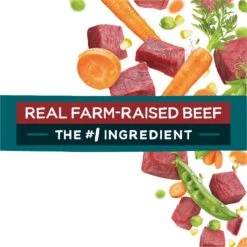 Purina Beneful IncrediBites With Farm-Raised Beef, Small Breed Dry Dog Food, 3.5-lb Bag 18 Purina Beneful IncrediBites With Farm-Raised Beef, Small Breed Dry Dog Food, 3.5-lb Bag -Blue Buffalo || ROYAL CANIN || Wellness Sales 918942 PT7. AC SS1800 V1694538297