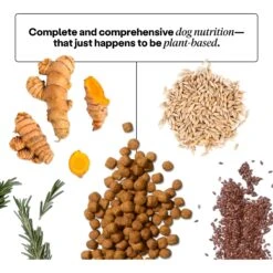 Wild Earth Maintenance Formula Golden Rotisserie Flavor Plant-Based Dog Dry Food 12 Wild Earth Maintenance Formula Golden Rotisserie Flavor Plant-Based Dog Dry Food -Blue Buffalo || ROYAL CANIN || Wellness Sales 919262 PT3. AC SS1800 V1690466012