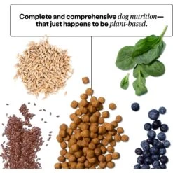 Wild Earth High Protein Performance Formula Chick'n Kabob Flavor Plant-Based Dog Dry Food -Blue Buffalo || ROYAL CANIN || Wellness Sales 919326 PT3. AC SS1800 V1690466065