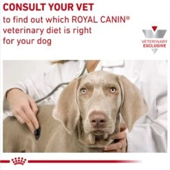 Royal Canin Veterinary Diet Hydrolyzed Protein Dry Puppy Dog Food -Blue Buffalo || ROYAL CANIN || Wellness Sales 919486 PT8. AC SS1800 V1695054512