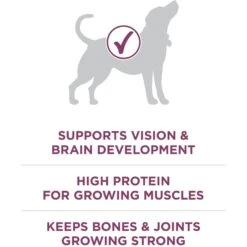 Purina ONE +Plus Natural High Protein Healthy Puppy Formula Dry Puppy Food -Blue Buffalo || ROYAL CANIN || Wellness Sales 91979 PT4. AC SS1800 V1647912990