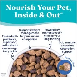 Solid Gold Nutrientboost Fit & Fabulous Weight Control Grain-Free Chicken, Sweet Potato & Green Bean Dry Dog Food 15 Solid Gold Nutrientboost Fit & Fabulous Weight Control Grain-Free Chicken, Sweet Potato & Green Bean Dry Dog Food -Blue Buffalo || ROYAL CANIN || Wellness Sales 920806 PT4. AC SS1800 V1695999060