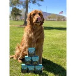 Jiminy's Cravin' Cricket Entree Organic Wet Dog Food, 6 Count -Blue Buffalo || ROYAL CANIN || Wellness Sales 926662 PT2. AC SS1800 V1695997247