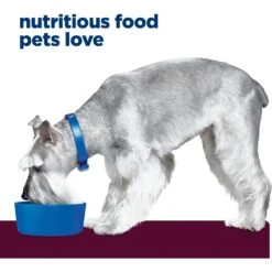 Hill's Prescription Diet I/d Digestive Care Low Fat Rice, Vegetable & Chicken Stew Wet Dog Food -Blue Buffalo || ROYAL CANIN || Wellness Sales 92810 PT3. AC SS1800 V1651673182