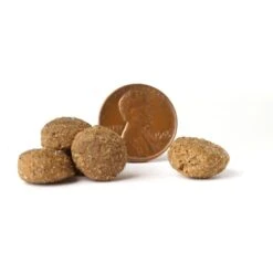 VICTOR Select Chicken Meal & Brown Rice Formula Dry Dog Food -Blue Buffalo || ROYAL CANIN || Wellness Sales 93046 PT3. AC SS1800 V1677684726