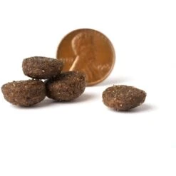 VICTOR Purpose Performance Formula Dry Dog Food 12 VICTOR Purpose Performance Formula Dry Dog Food -Blue Buffalo || ROYAL CANIN || Wellness Sales 93058 PT3. AC SS1800 V1677679641