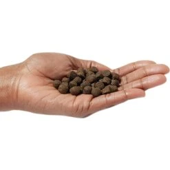 VICTOR Classic Hi-Pro Plus Formula Dry Dog Food 13 VICTOR Classic Hi-Pro Plus Formula Dry Dog Food -Blue Buffalo || ROYAL CANIN || Wellness Sales 93064 PT2. AC SS1800 V1682710820