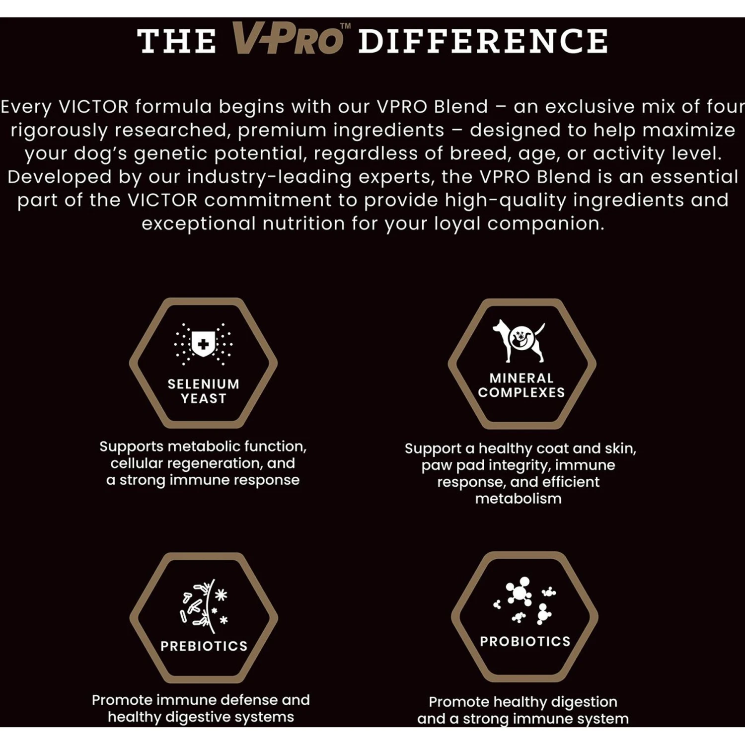 VICTOR Classic Hi-Pro Plus Formula Dry Dog Food 7 VICTOR Classic Hi-Pro Plus Formula Dry Dog Food - Image 5