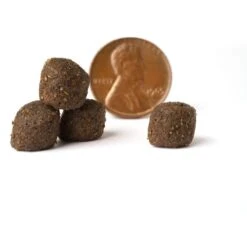 VICTOR Select Yukon River Canine Recipe Grain-Free Dry Dog Food 12 VICTOR Select Yukon River Canine Recipe Grain-Free Dry Dog Food -Blue Buffalo || ROYAL CANIN || Wellness Sales 93080 PT3. AC SS1800 V1677680809