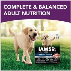 Iams Advanced Health Mobility Support Chicken & Whole Grain Recipe Adult Dry Dog Food 13 Iams Advanced Health Mobility Support Chicken & Whole Grain Recipe Adult Dry Dog Food -Blue Buffalo || ROYAL CANIN || Wellness Sales 930974 PT2. AC SS1800 V1691181907