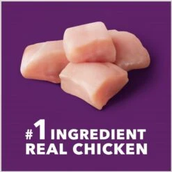 Iams Advanced Health Mobility Support Chicken & Whole Grain Recipe Adult Dry Dog Food 14 Iams Advanced Health Mobility Support Chicken & Whole Grain Recipe Adult Dry Dog Food -Blue Buffalo || ROYAL CANIN || Wellness Sales 930974 PT3. AC SS1800 V1691181447