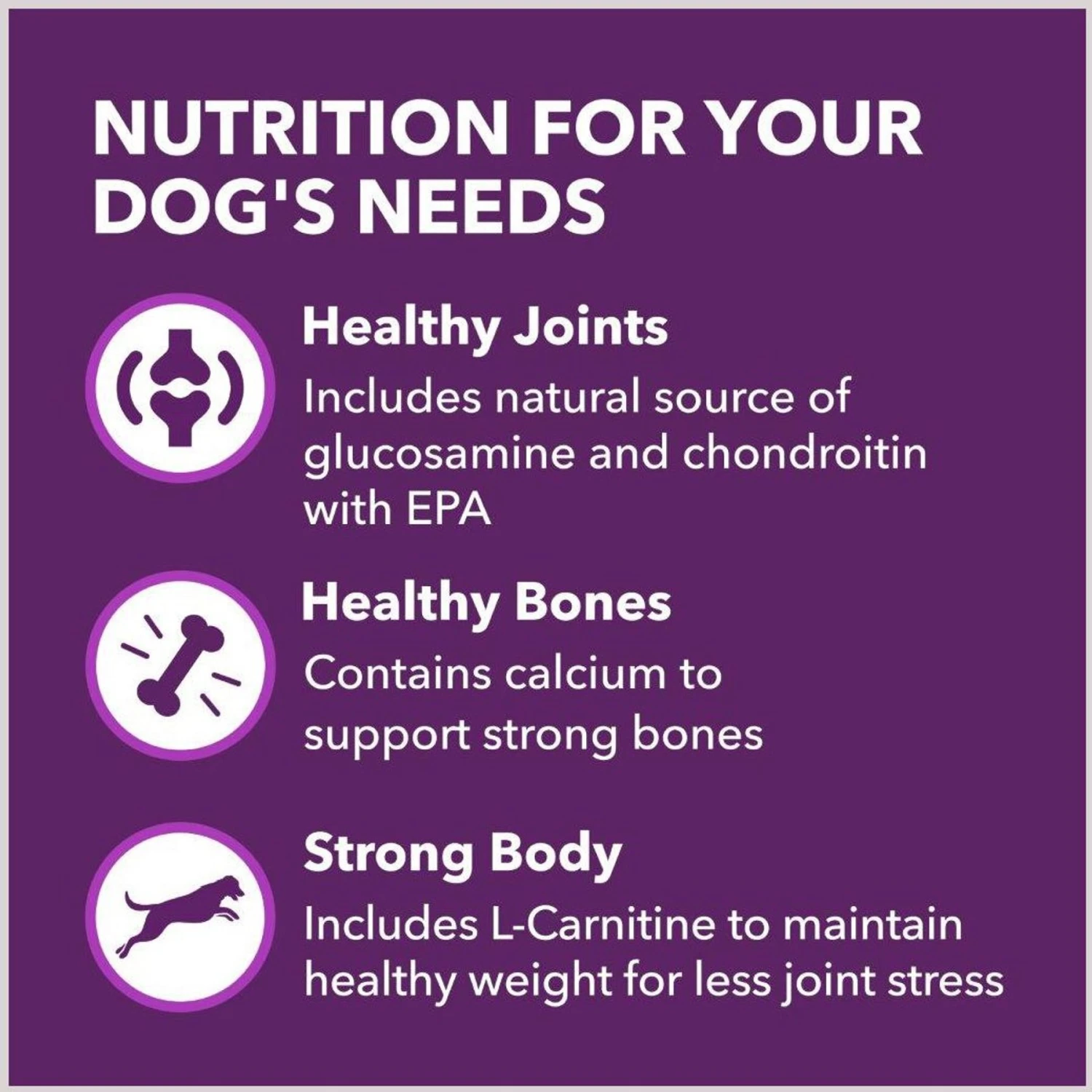 Iams Advanced Health Mobility Support Chicken & Whole Grain Recipe Adult Dry Dog Food 7 Iams Advanced Health Mobility Support Chicken & Whole Grain Recipe Adult Dry Dog Food - Image 5