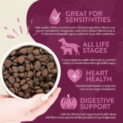 Earthborn Holistic Venture Limited Ingredient Grain-Free Rabbit Meal & Pumpkin Dry Dog Food -Blue Buffalo || ROYAL CANIN || Wellness Sales 931382 PT3. AC SS1800 V1697757760