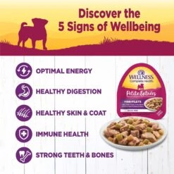 Wellness Petite Entrees Mini-Filets Turkey In Gravy Small Breed Natural Wet Dog Food, 3-oz Cup, 12 Count -Blue Buffalo || ROYAL CANIN || Wellness Sales 931550 PT2. AC SS1800 V1692110589