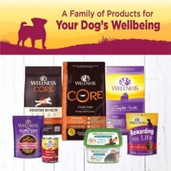 Wellness Petite Entrees Mini-Filets Beef In Gravy Small Breed Natural Wet Dog Food, 3-oz Cup, 12 Count 11 Wellness Petite Entrees Mini-Filets Beef In Gravy Small Breed Natural Wet Dog Food, 3-oz Cup, 12 Count -Blue Buffalo || ROYAL CANIN || Wellness Sales 931566 PT3. AC SS1800 V1692111533