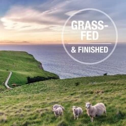 K9 Natural Beef Feast Freeze-Dried Dog Food Topper 16 K9 Natural Beef Feast Freeze-Dried Dog Food Topper -Blue Buffalo || ROYAL CANIN || Wellness Sales 93462 PT5. AC SS1800 V1693235555