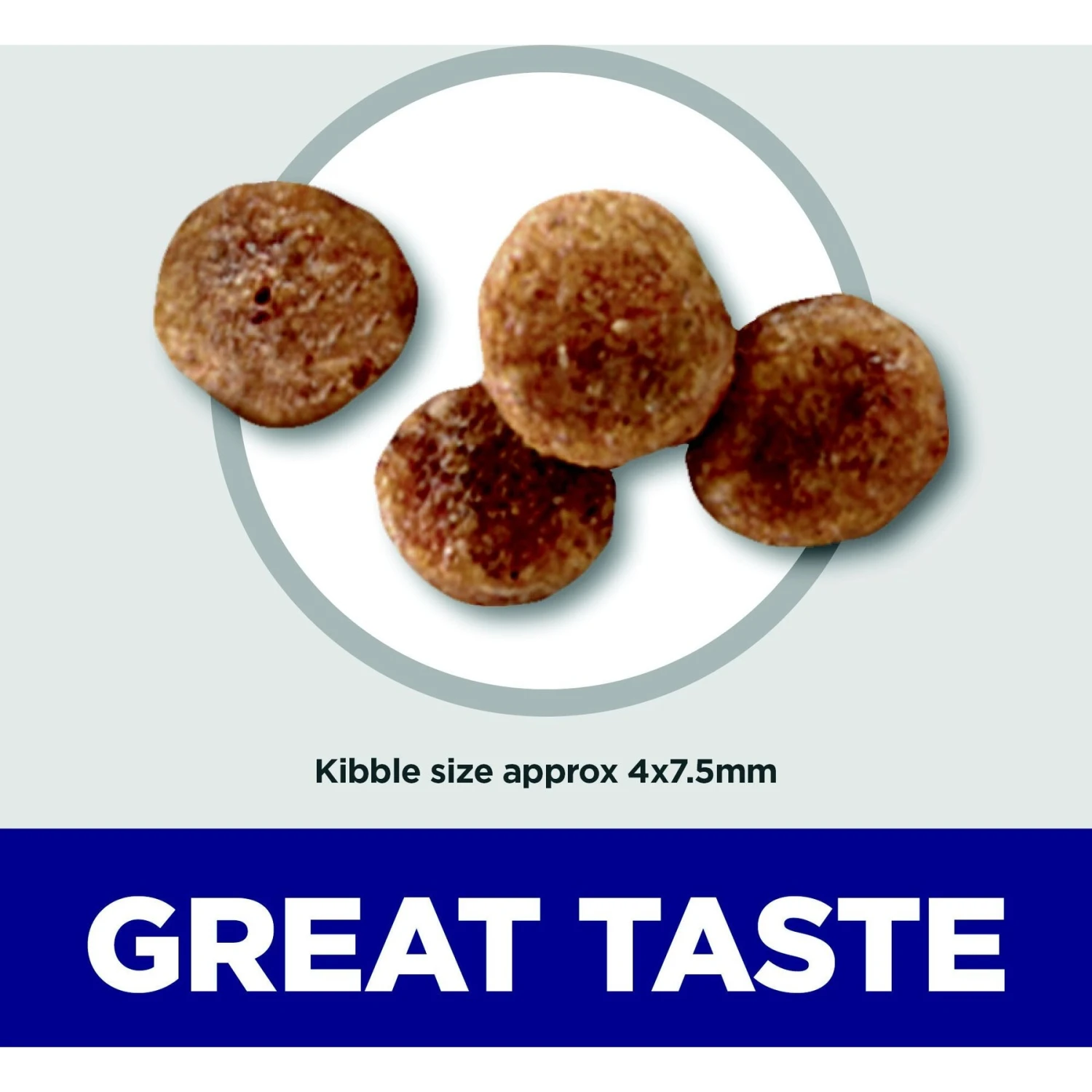 Hill's Science Diet Adult 11+ Small & Mini Chicken Meal, Barley & Brown Rice Recipe Dry Dog Food 5 Hill's Science Diet Adult 11+ Small & Mini Chicken Meal, Barley & Brown Rice Recipe Dry Dog Food - Image 3