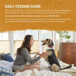 Purina Beyond Chicken & Sweet Potato Recipe In Gravy Canned Dog Food -Blue Buffalo || ROYAL CANIN || Wellness Sales 93784 PT7. AC SS1800 V1700159723