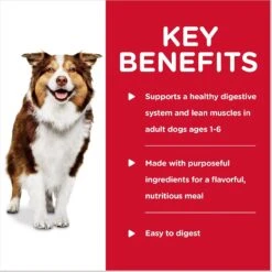 Hill's Science Diet Adult Healthy Cuisine Braised Beef, Carrots & Peas Stew Canned Dog Food 14 Hill's Science Diet Adult Healthy Cuisine Braised Beef, Carrots & Peas Stew Canned Dog Food -Blue Buffalo || ROYAL CANIN || Wellness Sales 94006 PT3. AC SS1800 V1598148653