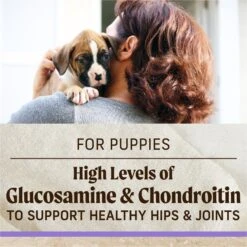 Merrick Classic Healthy Grains Dry Dog Food Puppy Recipe -Blue Buffalo || ROYAL CANIN || Wellness Sales 94124 PT8. AC SS1800 V1626191791