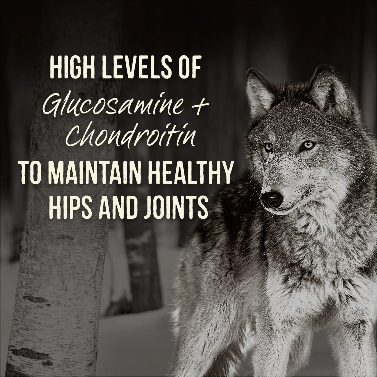 Merrick Backcountry Grain-Free Wet Dog Food Chunky Beef Dinner In Gravy 5 Merrick Backcountry Grain-Free Wet Dog Food Chunky Beef Dinner In Gravy - Image 3