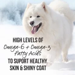 Merrick Backcountry Grain-Free Wet Dog Food Chunky Beef Dinner In Gravy 16 Merrick Backcountry Grain-Free Wet Dog Food Chunky Beef Dinner In Gravy -Blue Buffalo || ROYAL CANIN || Wellness Sales 94143 PT5. AC SS1800 V1636584138