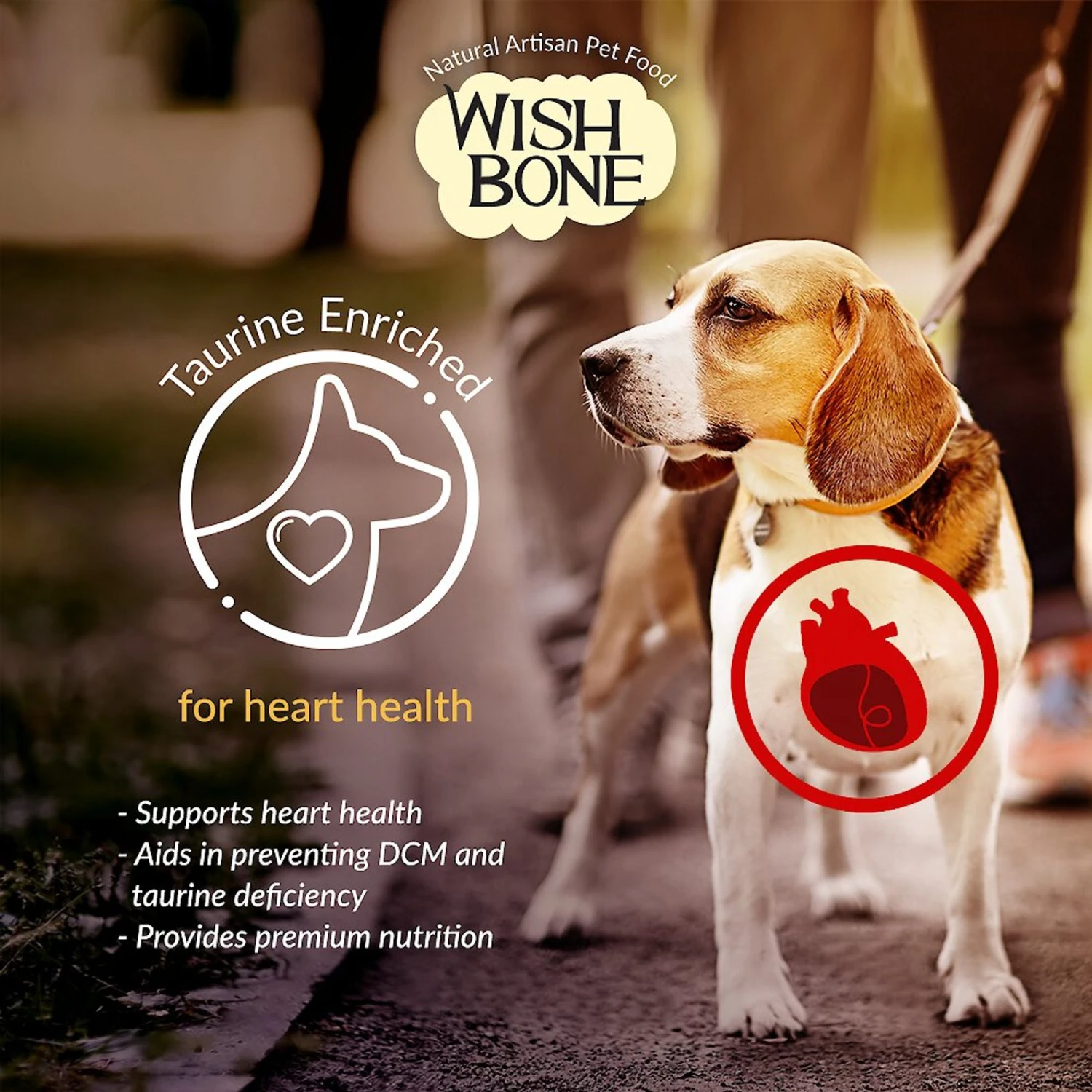 Wishbone Ocean Grain-Free Dry Dog Food 6 Wishbone Ocean Grain-Free Dry Dog Food - Image 4