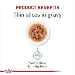 Royal Canin Size Health Nutrition Large Puppy Thin Slices In Gravy Wet Dog Food, 13-oz Can, Case Of 6 -Blue Buffalo || ROYAL CANIN || Wellness Sales 950334 PT2. AC SS1800 V1693497924