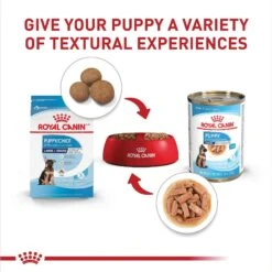 Royal Canin Size Health Nutrition Large Puppy Thin Slices In Gravy Wet Dog Food, 13-oz Can, Case Of 6 -Blue Buffalo || ROYAL CANIN || Wellness Sales 950334 PT4. AC SS1800 V1693497928