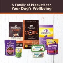 Wellness CORE Hearty Cuts In Gravy Chicken & Turkey Recipe Grain-Free Canned Dog Food -Blue Buffalo || ROYAL CANIN || Wellness Sales 95667 PT4. AC SS1800 V1613573274