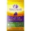 Wellness Grain-Free Complete Health Adult Lamb & Lamb Meal Recipe Dry Dog Food